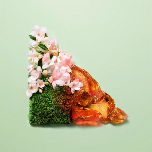 Paradoxe Intense Eau de Parfum | Prada | Парфюмна вода Paradoxe Intense Eau de Parfum | Prada | Парфюмна вода