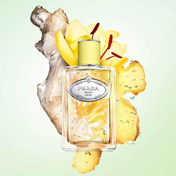 Les Infusions de Prada Gingembre eau de parfum | Prada | Парфюмна вода