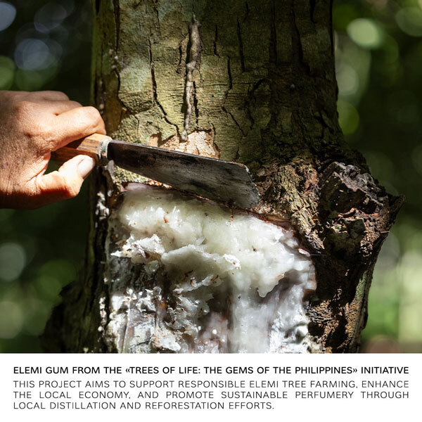 MAN IN BLACK PARFUM | Bvlgari | Парфюм