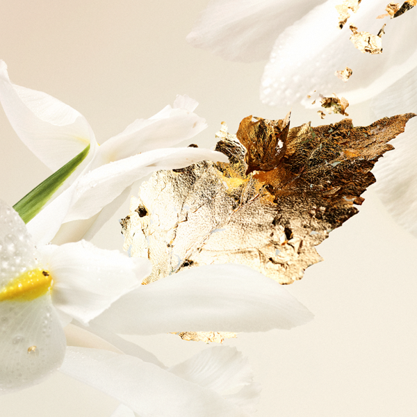 SPLENDIDA PATCHOULI TENTATION eau de parfum | Bvlgari | Парфюмна вода