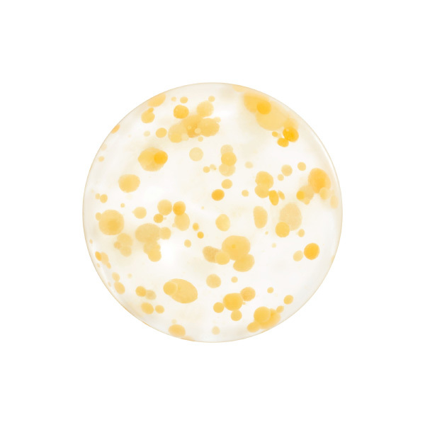 SHISEIDO WASO YUZU-C BEAUTY SLEEPING MASK | Shiseido | Маска за разкрасителен сън